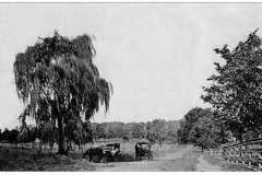 Basking Ridge - The Spring - circa 1905 - Photo courtesy of The Historical Society of the Somerset Hills.