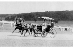 Polo Grounds - Bernardsville - early 1900s - Miss Evelyn Schley drives "Pride and Prejudice" at a horse show at the Polo Grounds. Photo courtesy Bernardsville Public Library.