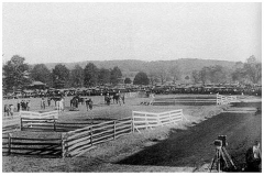 Far Hills Fair Grounds - 1921 - The Far Hills Fair and Horse show was held at the popular fairgrounds in 1921. Photo courtesy of James S. Jones.